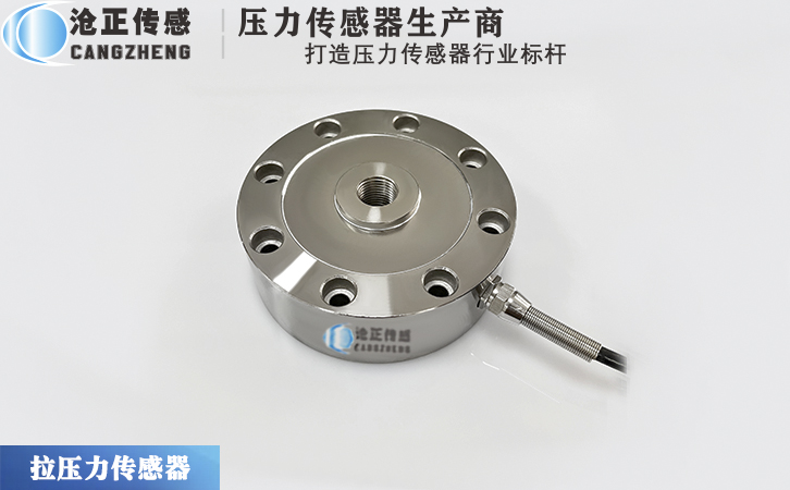滄正輪輻壓力傳感器CAZF-;LY88